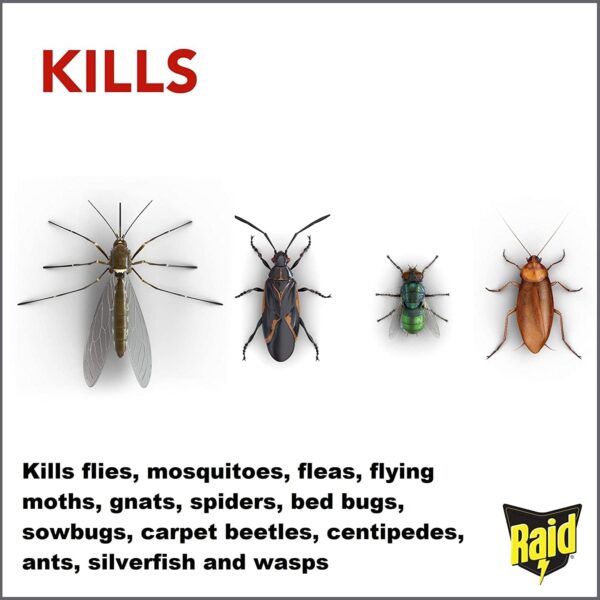 Raid Home Insect Bug Killer and Mosquito Repellent, Kills Listed Bugs on Contact, For Indoor and Outdoor Use, 350g - Image 3