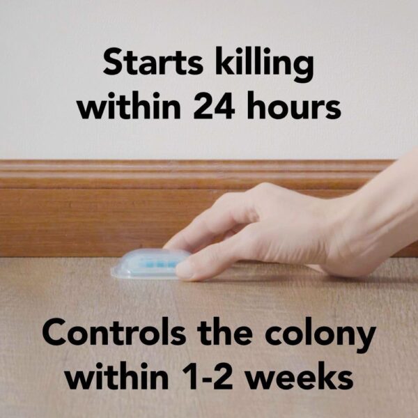Raid Max Double Control Liquid Ant Killer Baits and Traps, Kills Ants Where They Breed, For Indoor Use, Child Resistant, 8 Bait Stations - Image 2