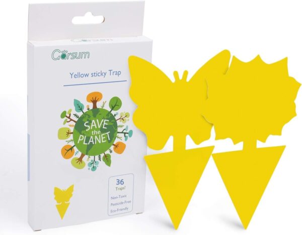 Garsum Fruit Fly Trap Indoor and Outdoor, 36 Pack Gnat Sticky Traps for House Plants, Flying Insect Trap for Fungus Gnat,Mosquitos, White Flies