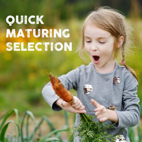 10 Heirloom Vegetable Seed Varieties – Seeds for Planting in Canada, Home and Survival Garden Plant Seeds, Graines de Jardin Canadian Variety Pack Kit - Image 2