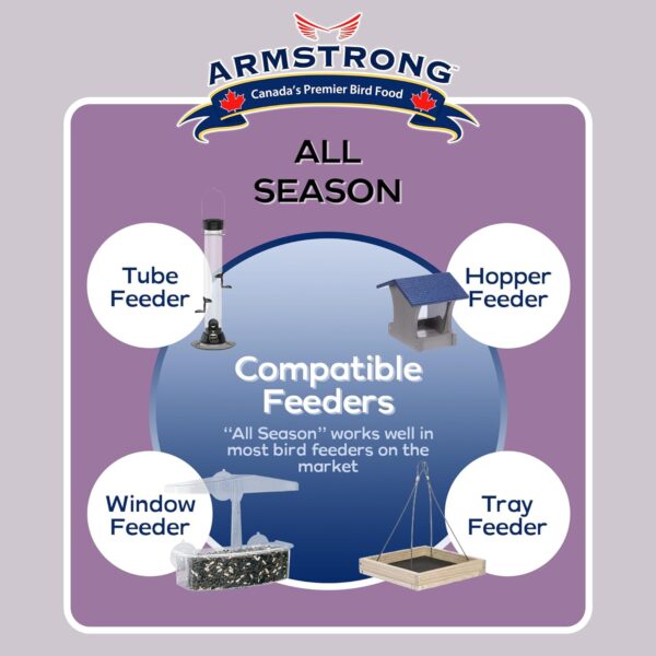Armstrong All Season Blend, Premium Wild Bird Seed Mix, 4KG (8.8LB) Bag - Image 3