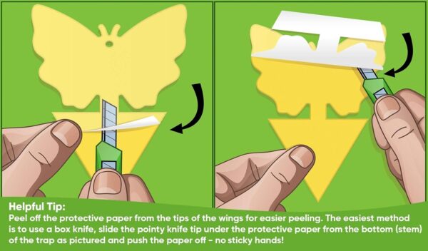 EcoCanucks Sticky Traps (20 Pack) | Sticky Fruit Fly Traps & Gnat Traps | Fungus Gnats, Fruit Flies, Mosquitoes, Flying Insects, Yellow Sticky Insect Traps | Disposable Glue Traps - Image 3