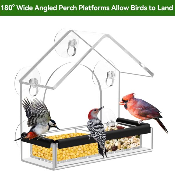 Clear Window Bird Feeder with 5 Extra Strong Suction Cups, DY-SKTY Sturdy and Durable Acrylic Bird Feeders for Viewing Wild Bird Outside, as a Bird Watching Gift, Outdoor Bird Feeder, and Garden Decor - Image 3