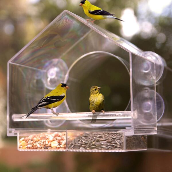 Window Feeder for Birds by Nature Anywhere. Bird Feeders Window for Wild Birds with Sliding Seed Holder and 4 Extra Strong Suction Cups. Window Bird Feeder for Outside. Bird House Shape Decor. - Image 5