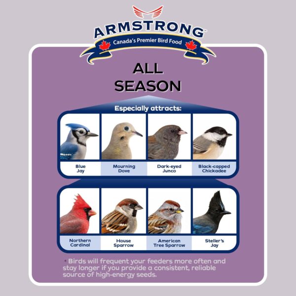 Armstrong All Season Blend, Premium Wild Bird Seed Mix, 4KG (8.8LB) Bag - Image 2