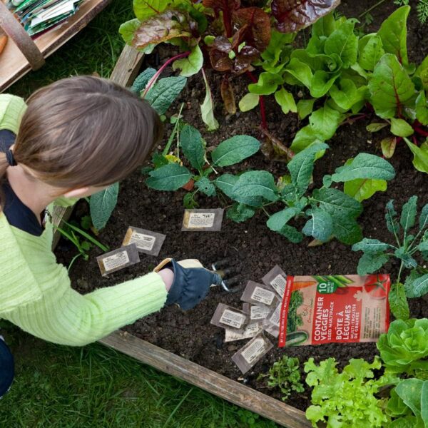 10 Heirloom Vegetable Seed Varieties – Seeds for Planting in Canada, Home and Survival Garden Plant Seeds, Graines de Jardin Canadian Variety Pack Kit - Image 4