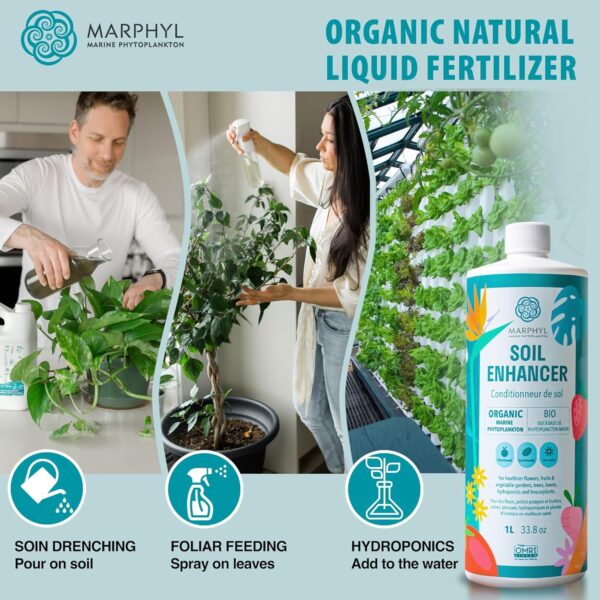 MARPHYL Organic Liquid Fertilizer – Indoor & Outdoor House Plant Fertilizer - All-Purpose Nutrient-Rich Plant Food - Soil Enhancer for Garden, Flowers, Vegetables, Succulents, Bamboo, Hydroponics - Image 4