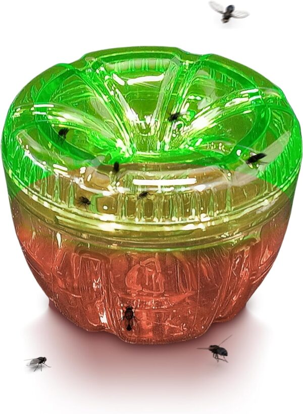Green-Strike 2 Pack Reusable Fruit Fly Trap with ATTRACTANT - 120 Days Solution (40 ML - Image 2
