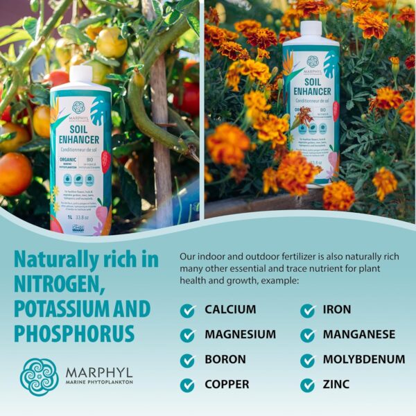 MARPHYL Organic Liquid Fertilizer – Indoor & Outdoor House Plant Fertilizer - All-Purpose Nutrient-Rich Plant Food - Soil Enhancer for Garden, Flowers, Vegetables, Succulents, Bamboo, Hydroponics - Image 3