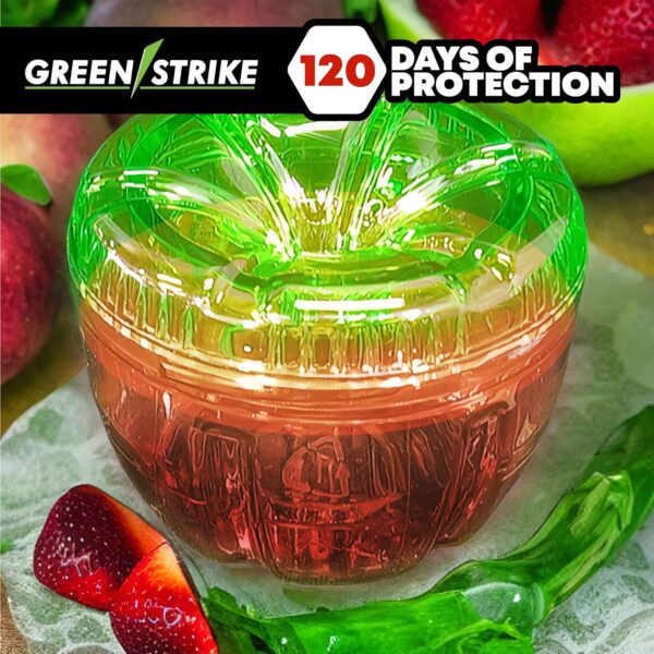 Green-Strike 2 Pack Reusable Fruit Fly Trap with ATTRACTANT - 120 Days Solution (40 ML - Image 3