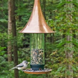 Bird Feeders