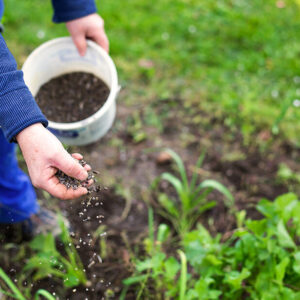 Multi-Purpose Fertilisers