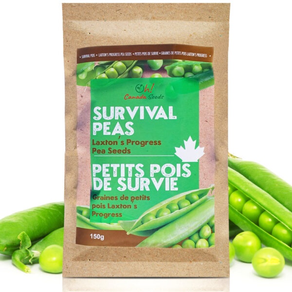 Survival Peas - Laxton’s Progress Bush Pea – 160g, 500seeds