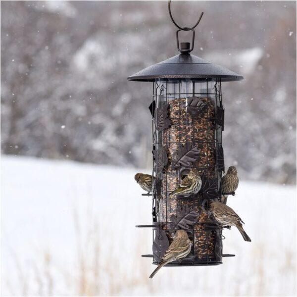 Perky-Pet Squirrel-Be-Gone III Wild Bird Feeder