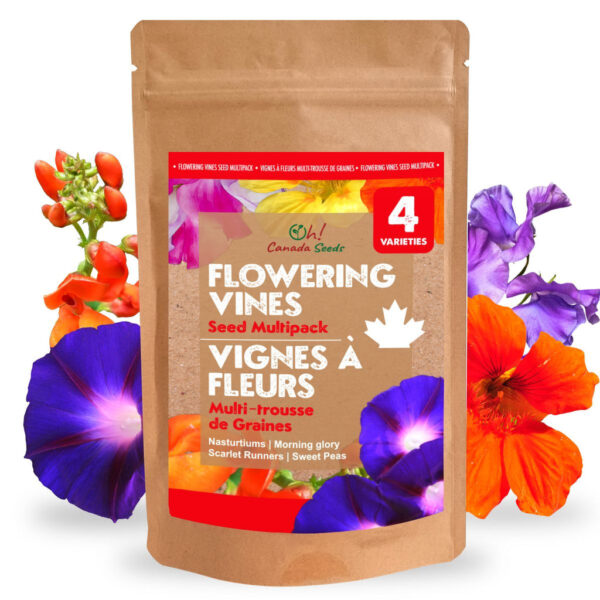 4 Flowering Vines Variety Pack