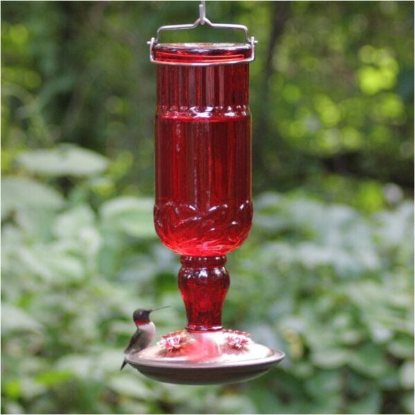 Perky-Pet Red Antique Glass Bottle Hummingbird Feeder - 24 oz