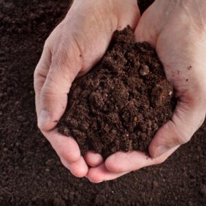 Gardening Soils